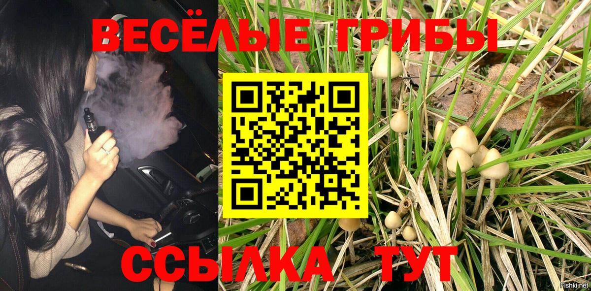 Псилоцибиновые грибы мухоморы  Вход с VPN  Армавир 