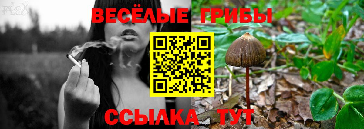 Галлюциногенные грибы мицелий Армавир